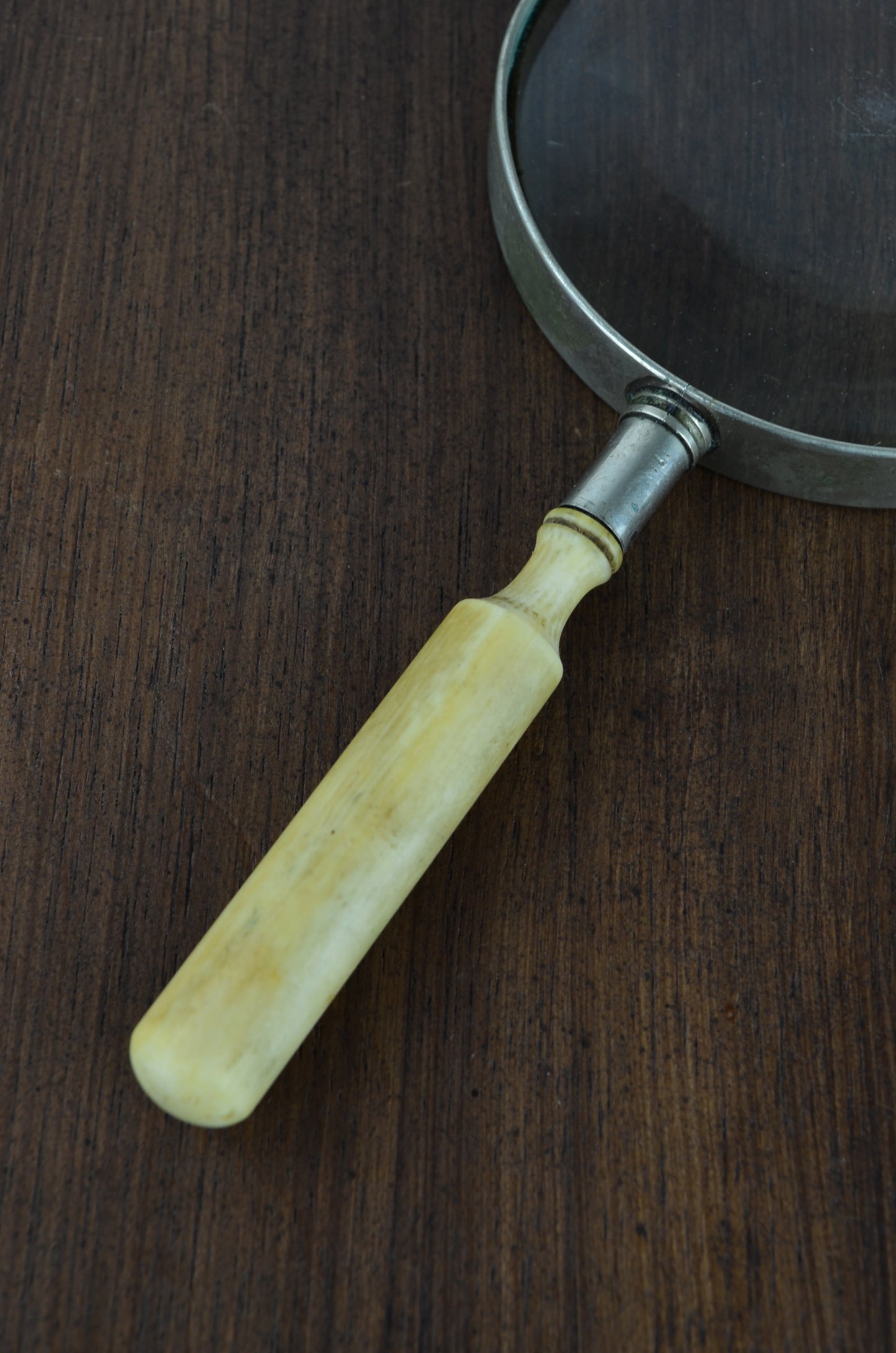 Bone Handle Magnifying Glass