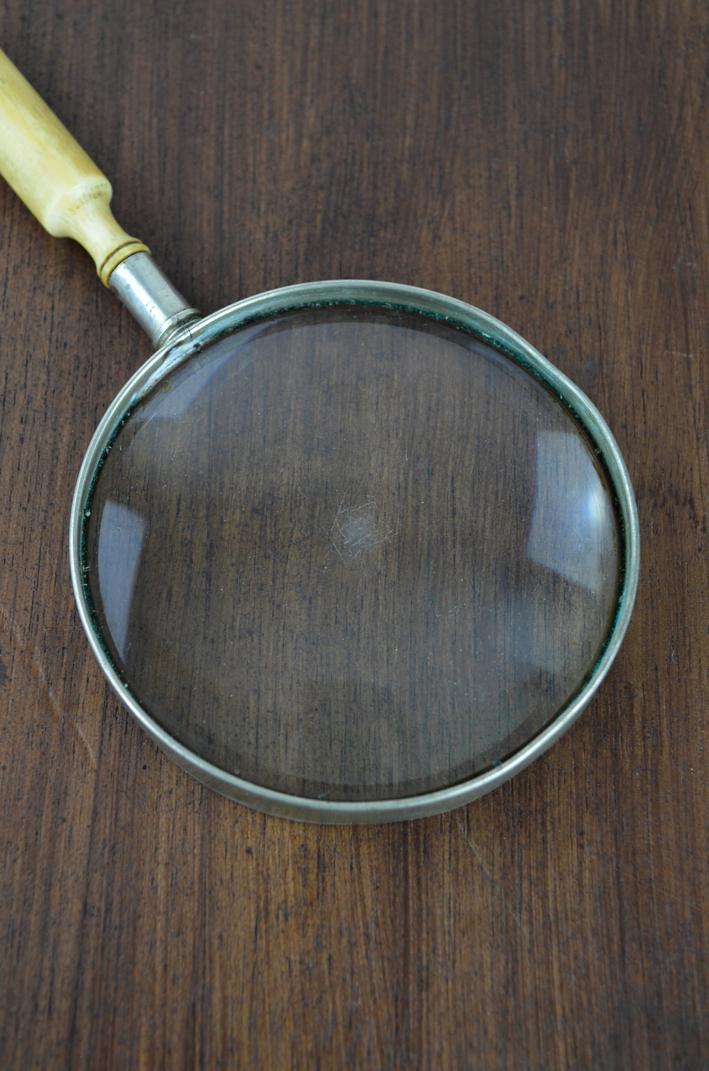 Bone Handle Magnifying Glass