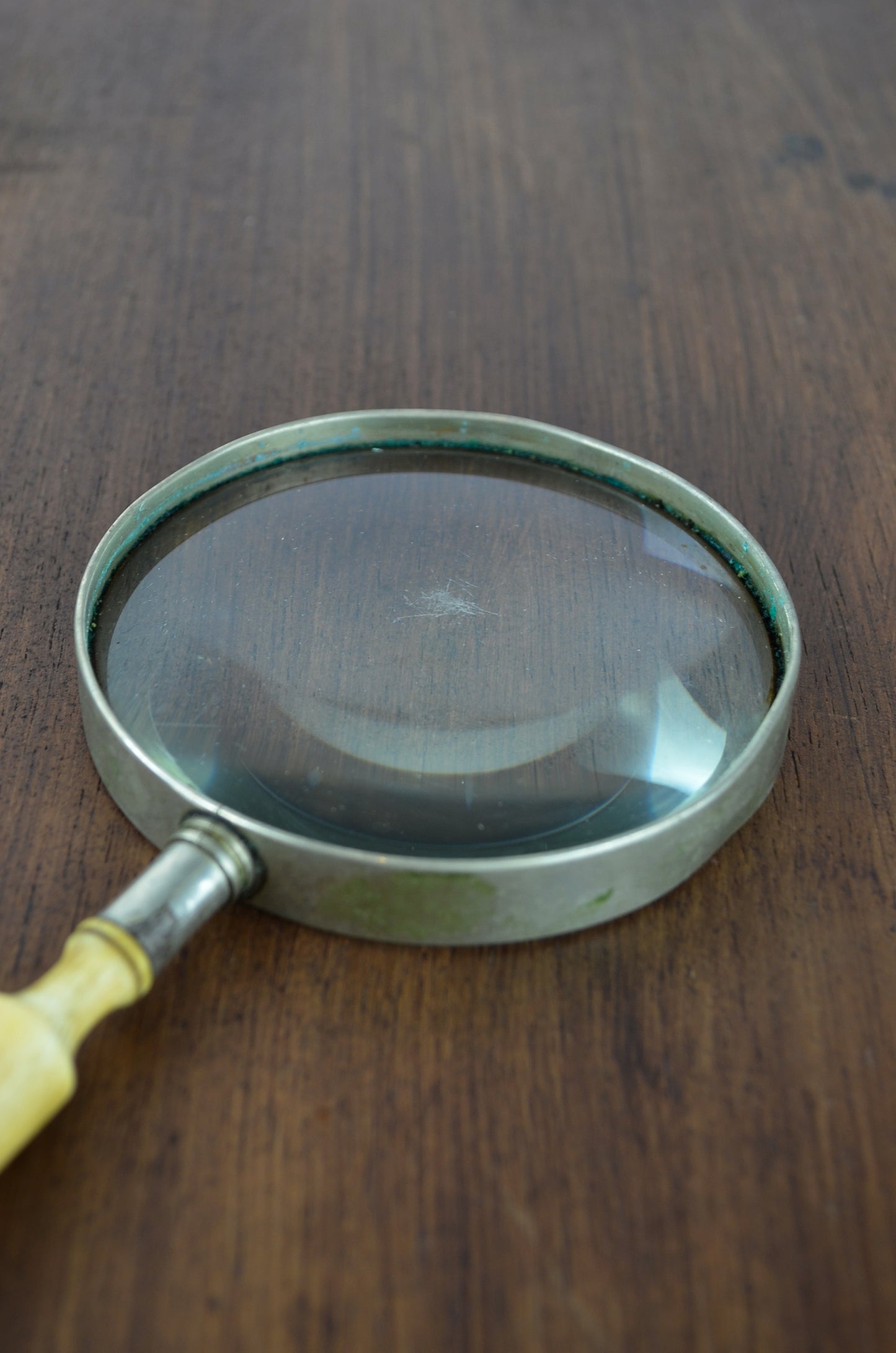 Bone Handle Magnifying Glass